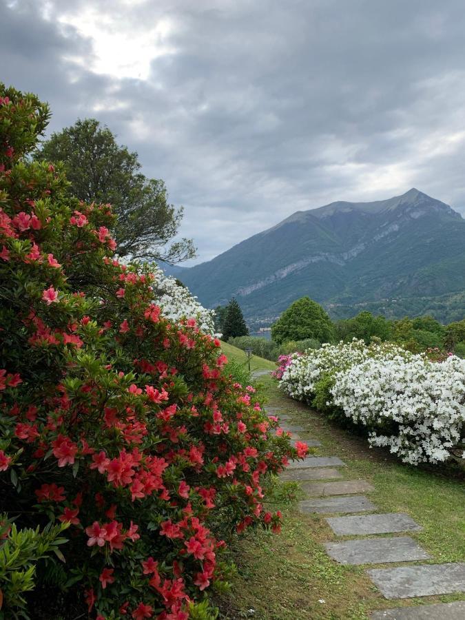 Il Poggio Di Bellagio Aparthotel Eksteriør bilde