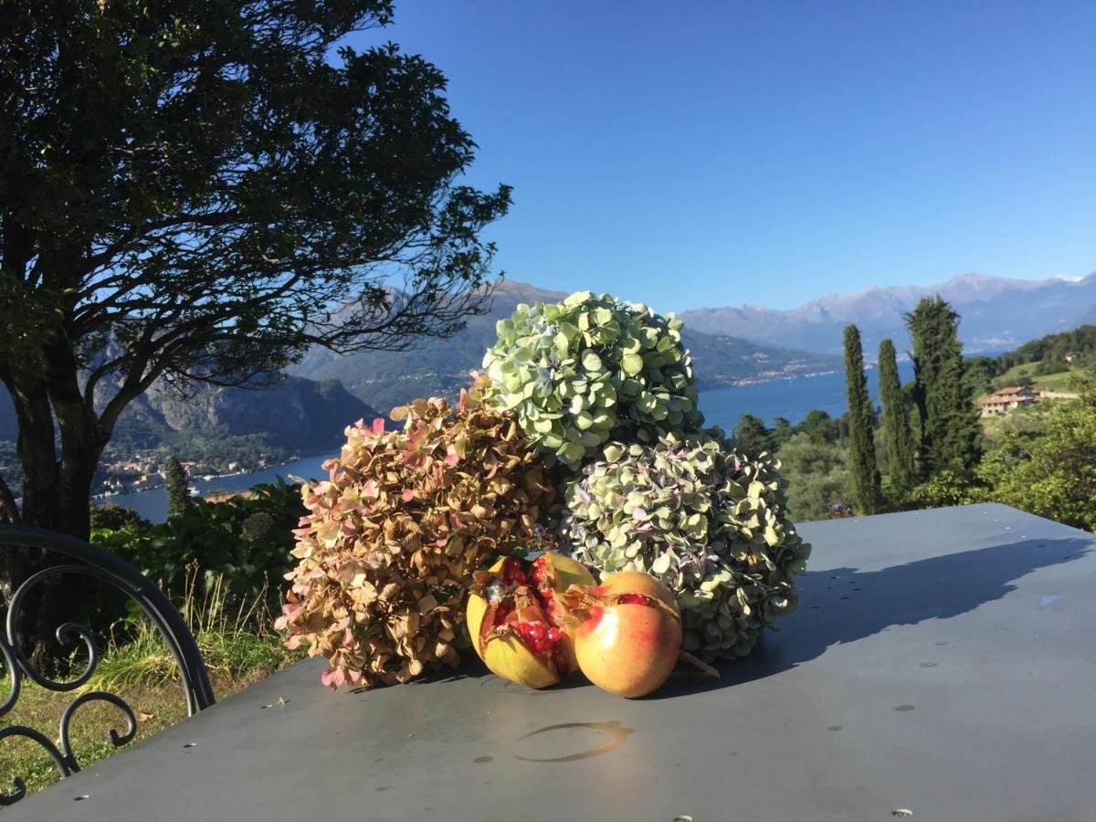Il Poggio Di Bellagio Aparthotel Eksteriør bilde